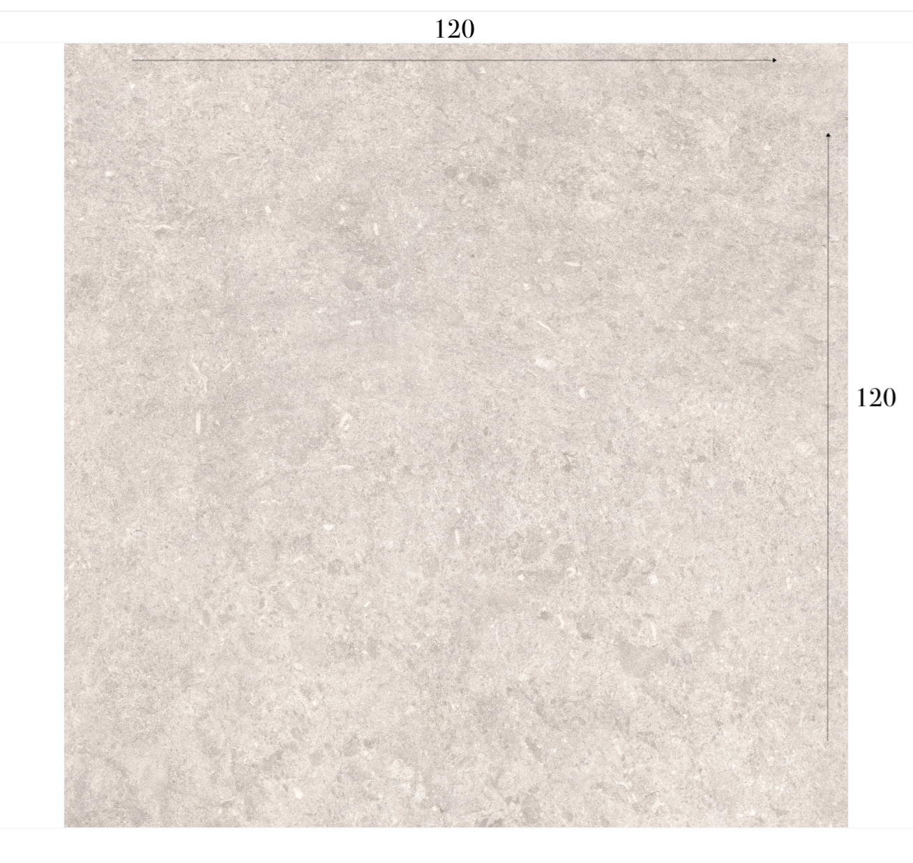 Cavallina Marfil R10