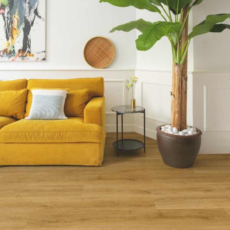 Alpha Bloom Collcetion, Quickstep