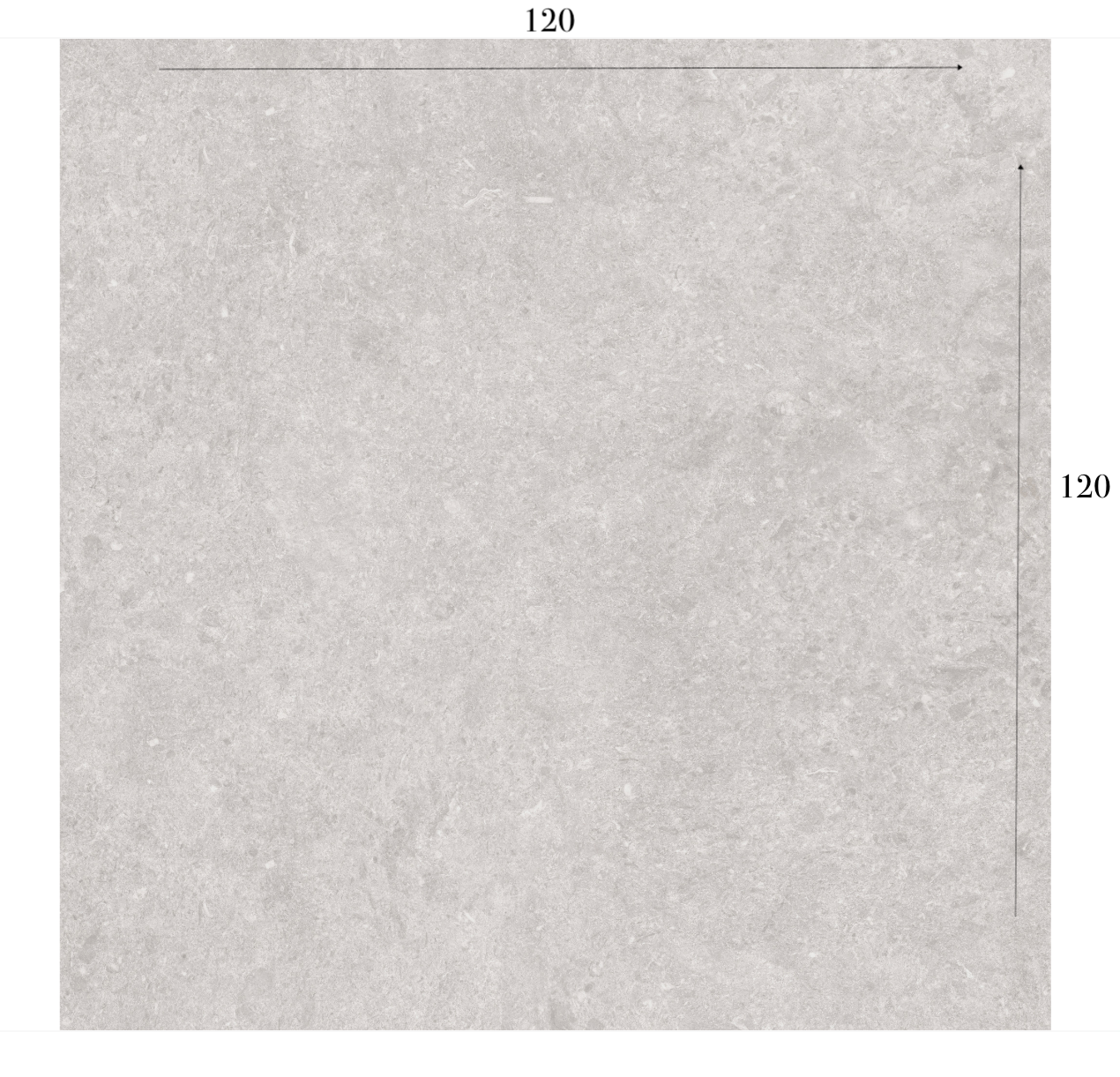 Cavallina Blanco R10