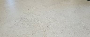 Coquina off White tile