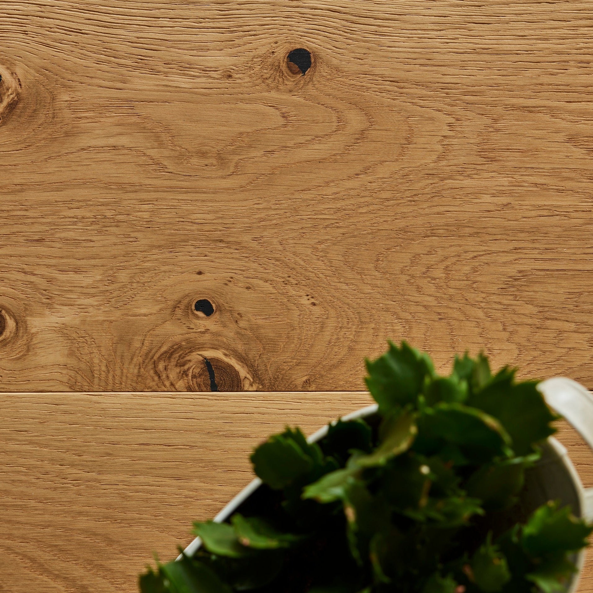 Palace Oak 20/6mm - Brushed & UV Oiled