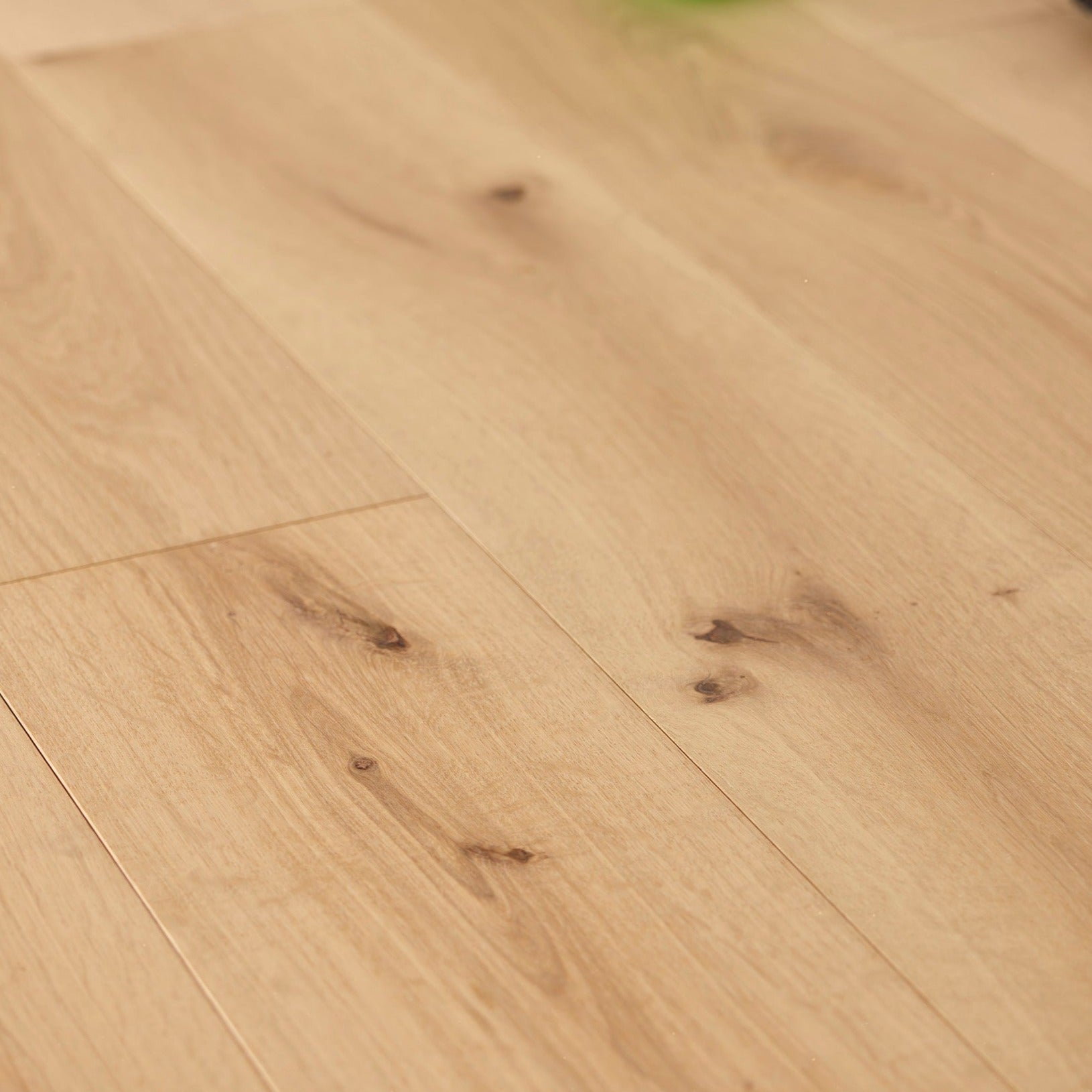 Castle RAW Oak - Invisible Matt Lacquer